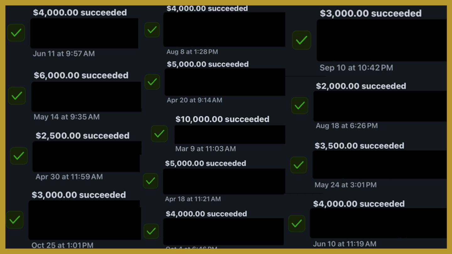Executive Stride client payments of $2,000 to $10,000, marked succeeded